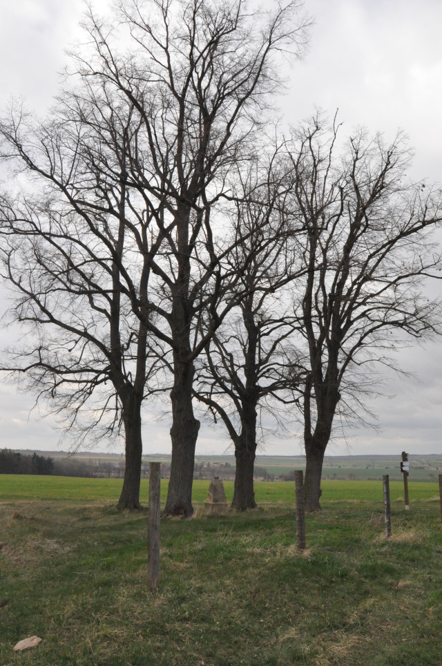 Kolešovice, Zderaz -  Francouzský kříž