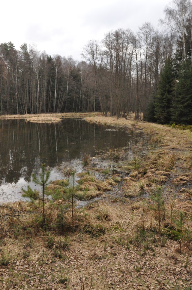 Jesenice, Podbořánky - Rybníčky u Podbořánek