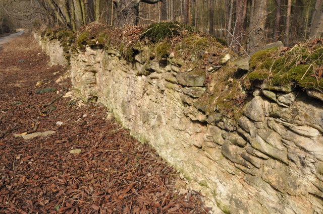 Lužná - Fürstenberská obora