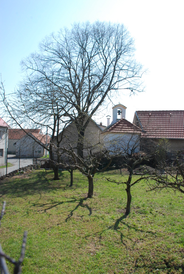 Mšecké Žehrovice, Lodenice - Kaplička