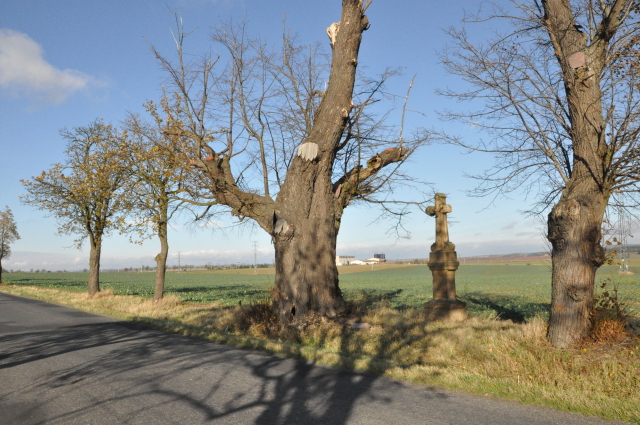 Olešná - Kříž Rudolfa Raddy