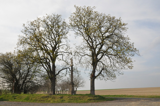 Pavlíkov, Skřivaň - Sloup se sochou svatého Isidora