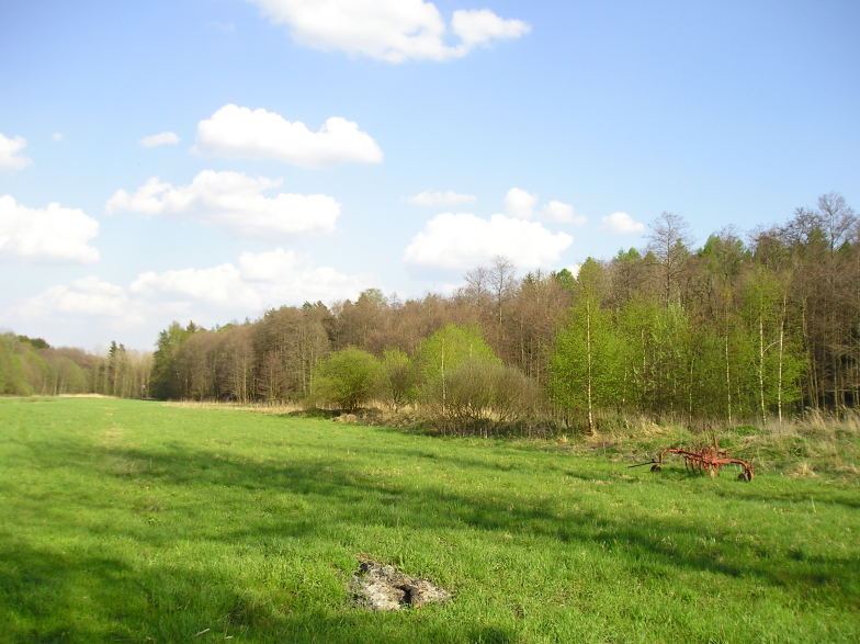 Olešná - Botanická zahrada