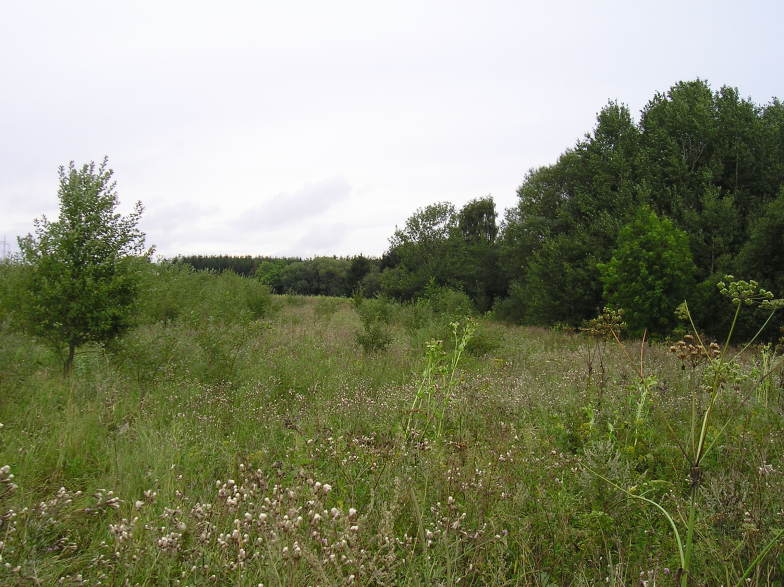 Slabce, Rousínov - Údolí východně Soudného vrchu