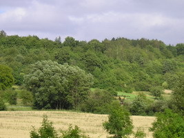 Řevničov - V Opukách