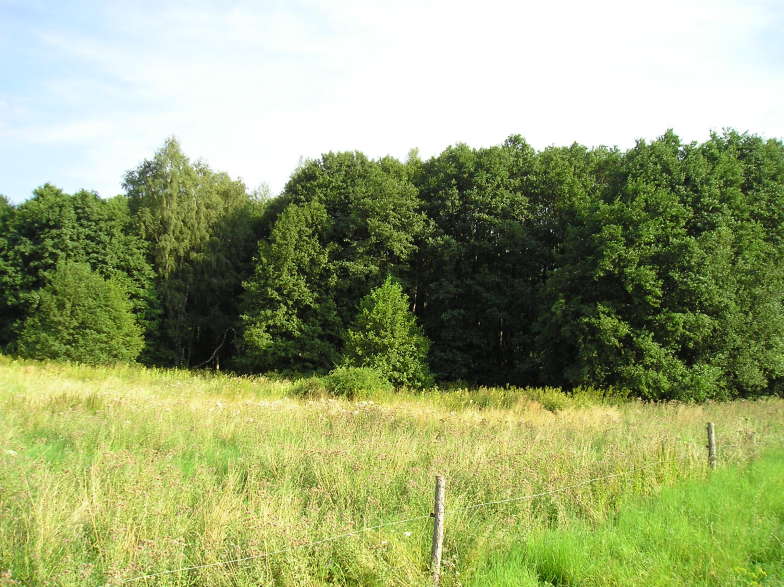 Jesenice, Podbořánky - Lhotský lůmek