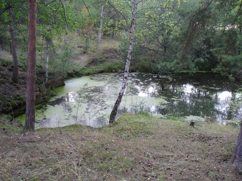 Jesenice, Soseň - Soseňský lom