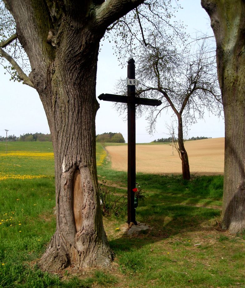 Hřebečníky, Týřovice - Dřevěný kříž na Skryje - ©Hana Kubínková