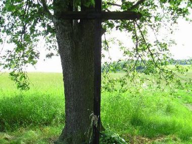 Hřebečníky, Týřovice - Dřevěný kříž na Skryje