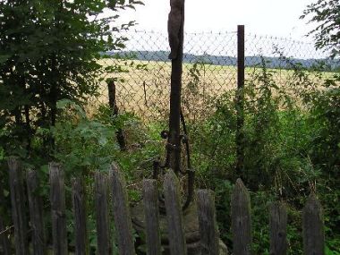 Hřebečníky, Týřovice - Kříž v zahradě