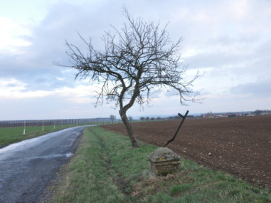 Kolešovice - Kříž na Hořesedly vlevo