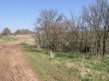 Kolešovice, Zderaz - Kříž za hřbitovem