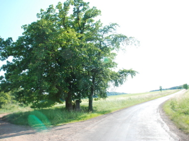 Hořovičky, Bukov - Kříž na Jesenici